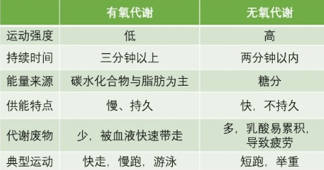 有氧和无氧运动区别简述