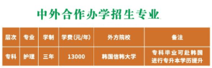 潍坊护理职业学院有哪些专业？