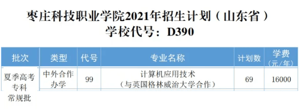 2021枣庄科技职业学院中外合作办学招生计划-各专业招生人数是多少