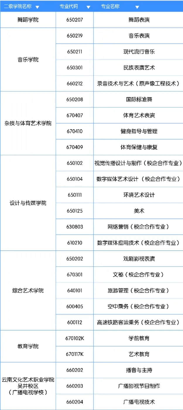 云南文化艺术职业学院有哪些专业？