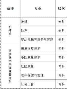 重庆护理职业学院有哪些专业？