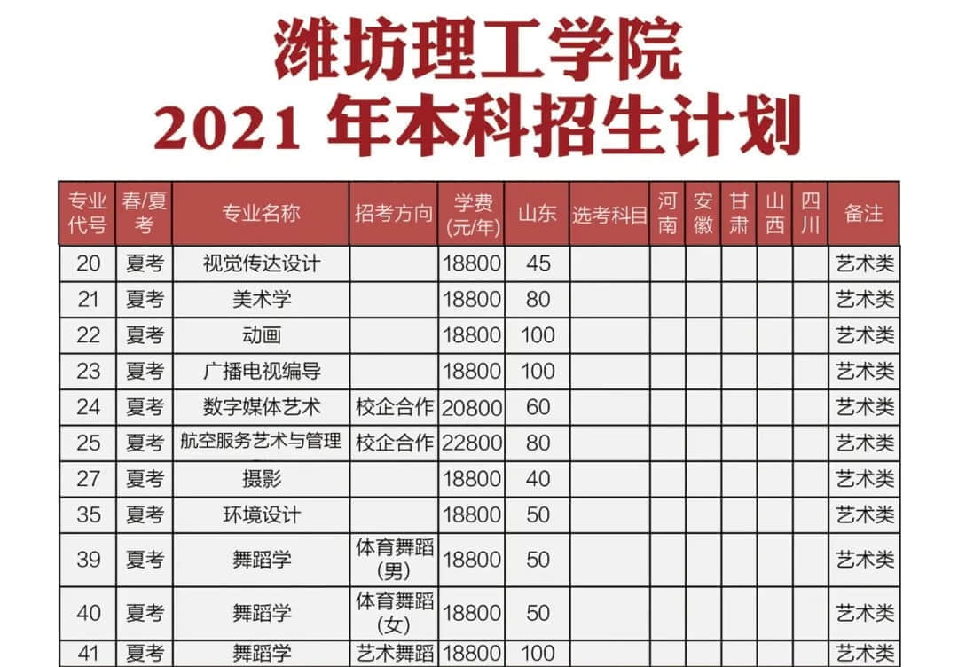 2021年潍坊理工学院艺术类招生计划