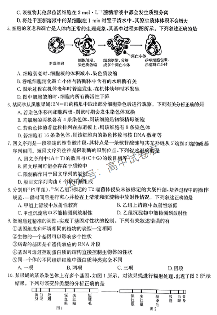 湖南金太阳2024高三10月联考生物试题及答案解析