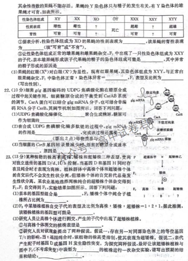 河北邢台五岳联盟2024高三第四次月考生物试题及答案解析