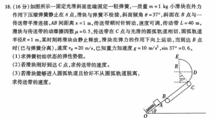 山东新高考2024高三联合质量测评10月联考物理试题及答案