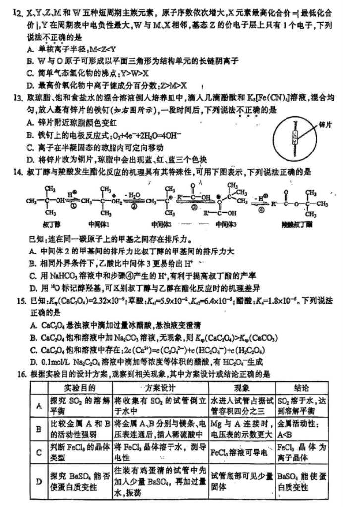 浙江金华十校2024高三4月二模考试化学试题及答案解析