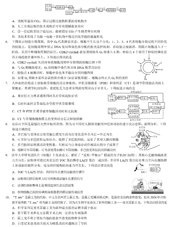 重庆市2024高三4月二诊(康德卷)生物试题及答案解析