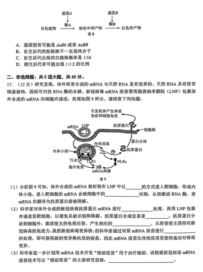 广东大湾区2024高三4月二模考试生物试题及答案解析