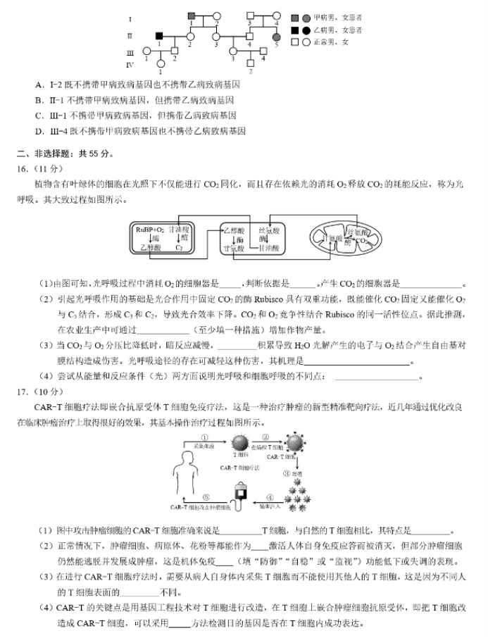 重庆市2024高三4月二诊(康德卷)生物试题及答案解析